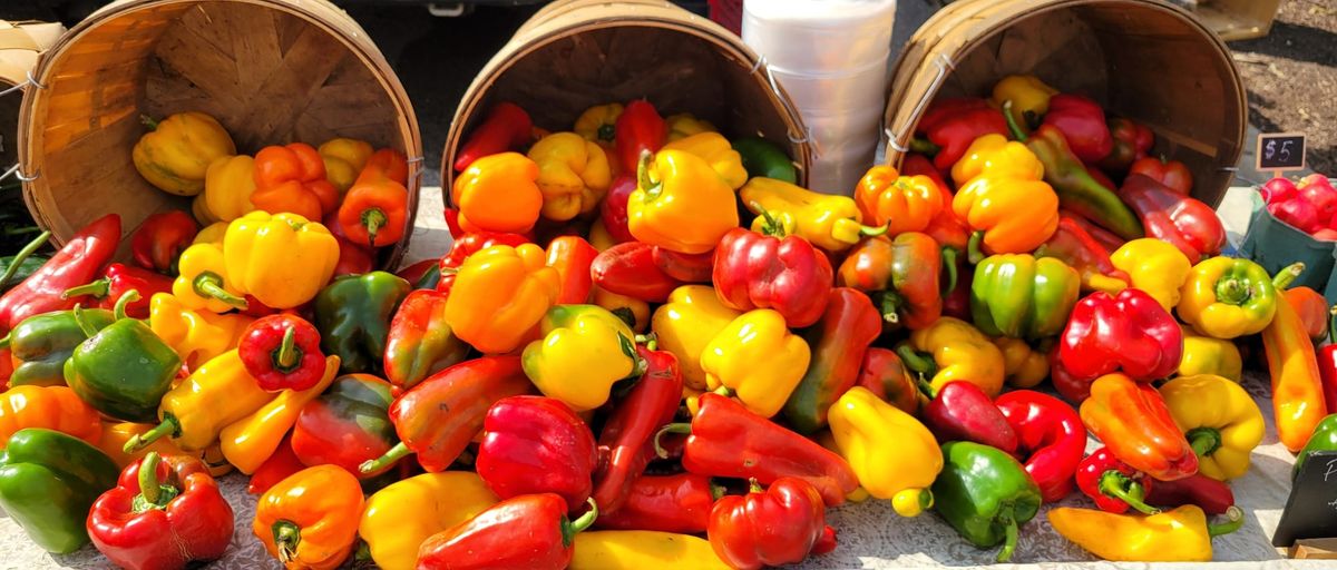 On My Plate: Bell peppers
