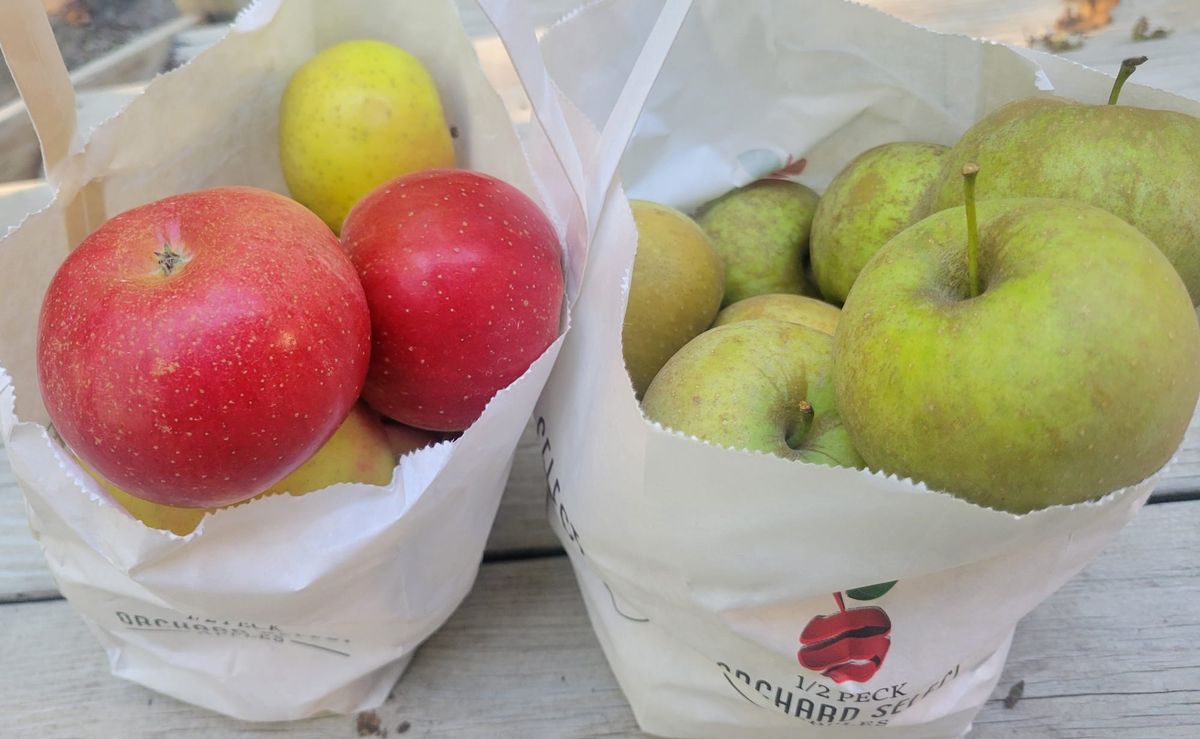 On My Plate: Apples encore