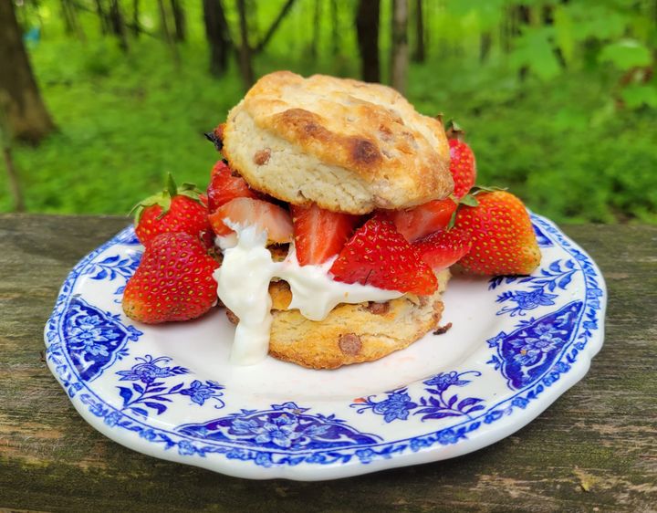 Strawberries and creme fraiche between two scones on a blue and white plate outside