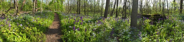 Silvoor Stories: Appreciating the natural beauty around us