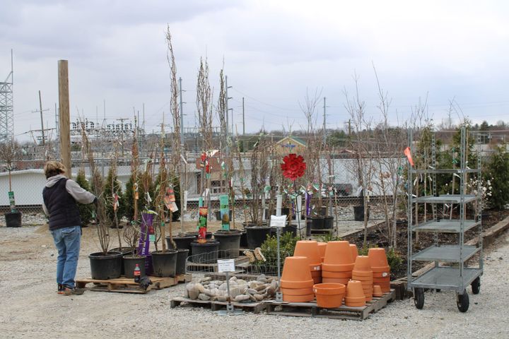 A Shademakers staff member stands in front of a new delivery of trees