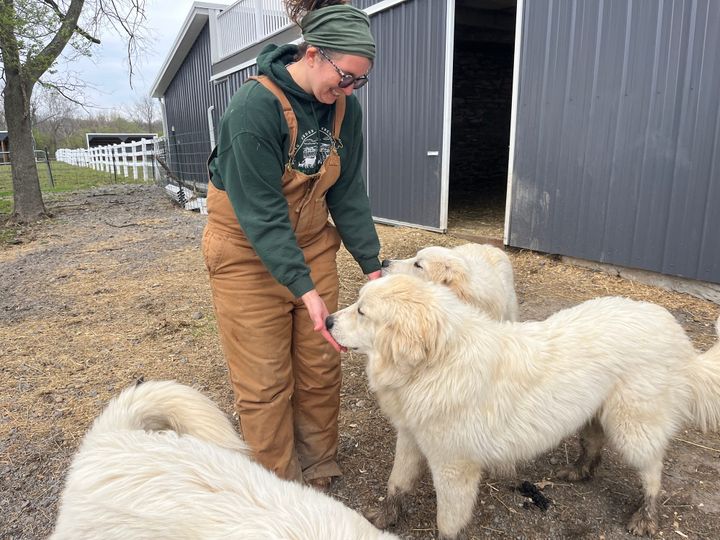 Christa Carrero stands outside with three dogs as two lick her hands