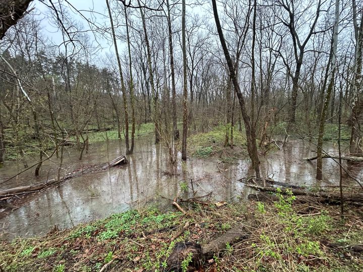 A flooded basin at Silvoor