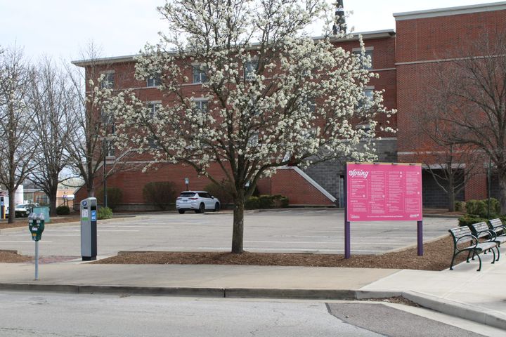 Lot 52 from the west