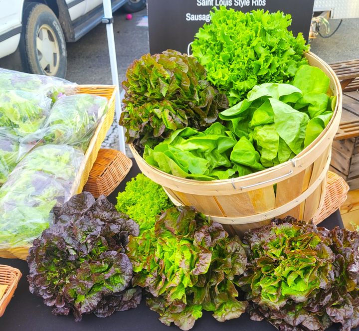 A wooden basket holds lettuce heads with dark edges and loose open leaves at the Oxford Farmers Market