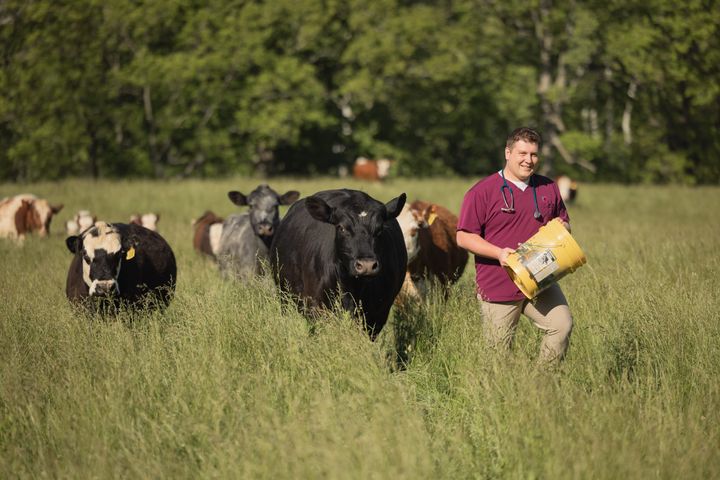 Jacob Schlichter takes care of animals such as cows, sheep, goats and pigs.