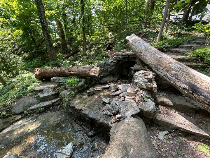 A treefall in the Silvoor Biological Sanctuary damaged a stone structure.