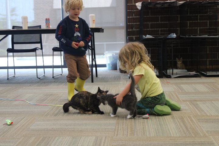 Two kids play with kittens at the Oxford Catty Shack at Oxford Lane Library