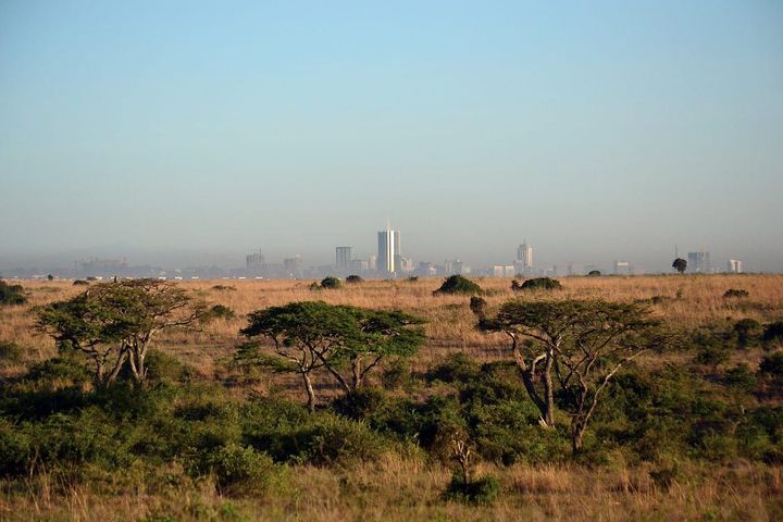 Nairobi, Kenya, with cityscape in background.