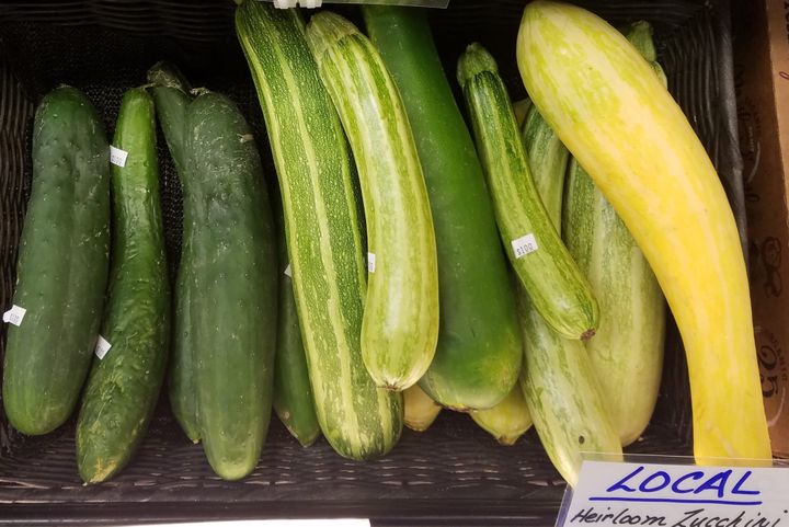 Locally grown zucchini at MOON Co-op.