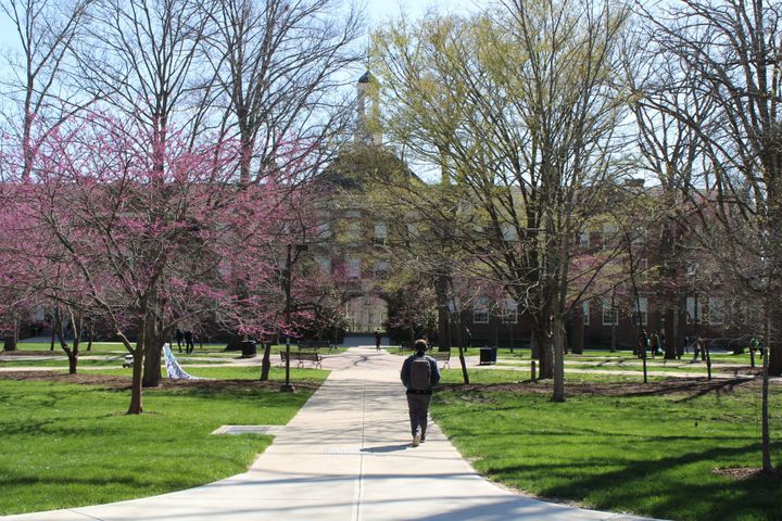 A student walks on a sidewalk at Miami University