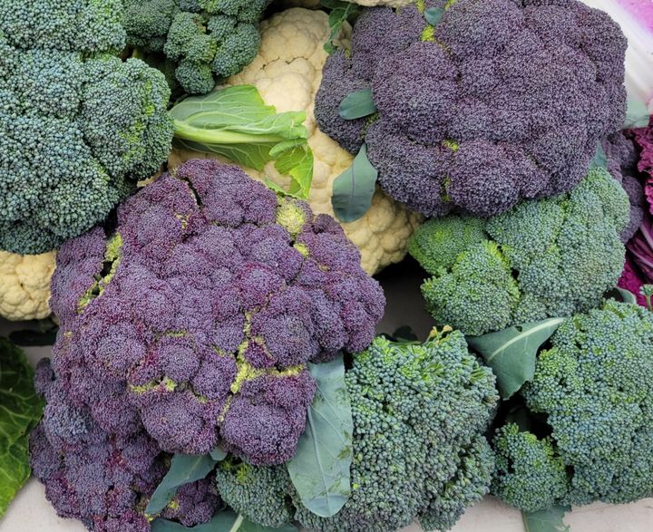 Purple and green broccoli at Oxford’s Farmers Market.
