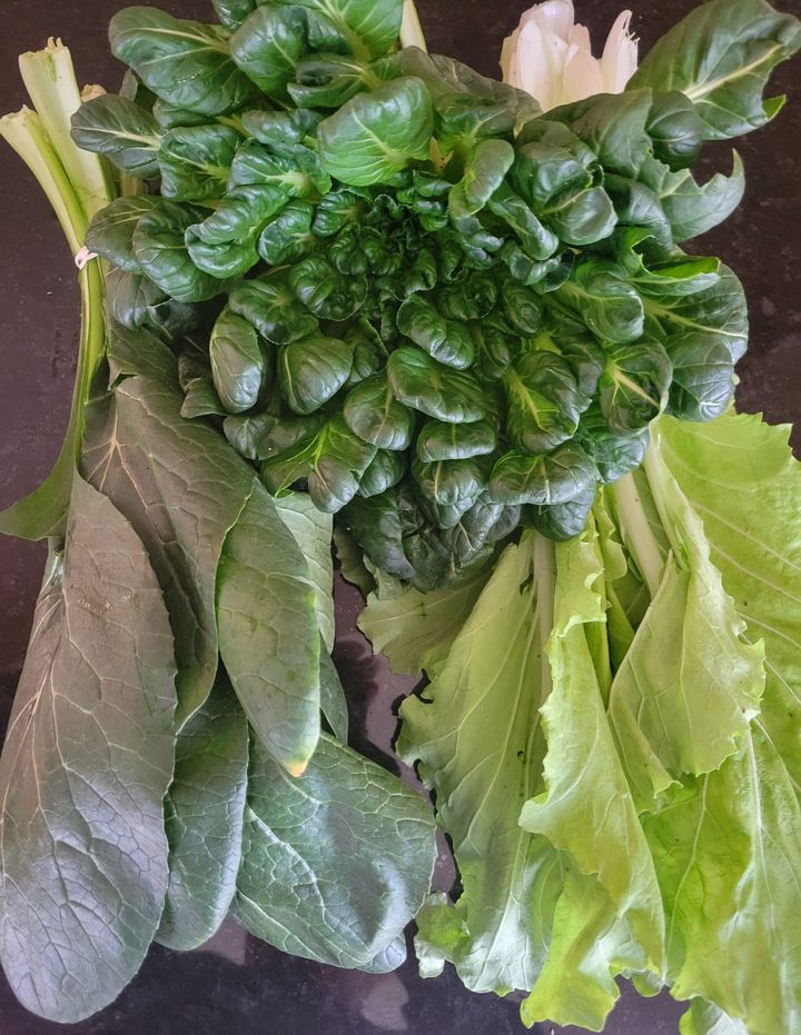 [clockwise from top] Tatsoi, Tokyo Bekana and Komatsuma. 