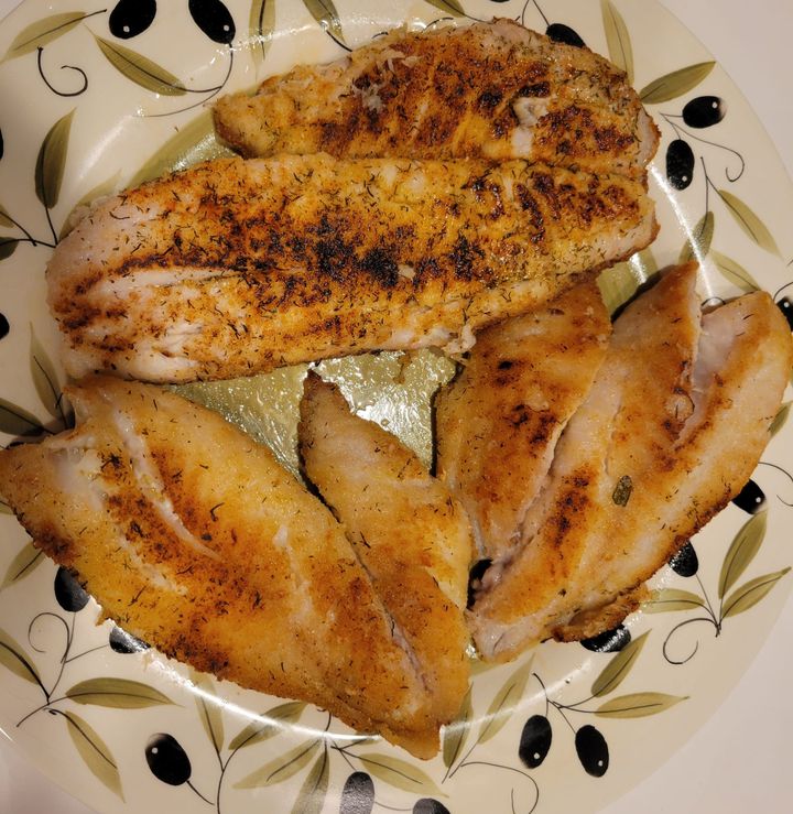 Florida lane snapper.