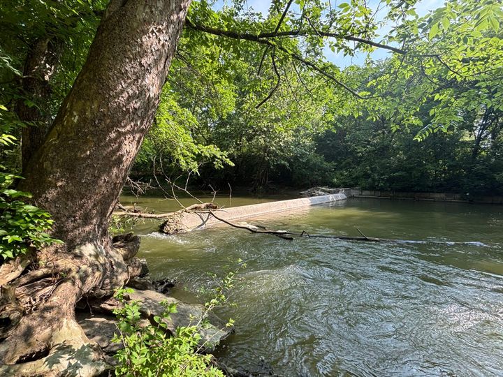 Ruder Preserve dam downstream Bonham Road Bridge. 