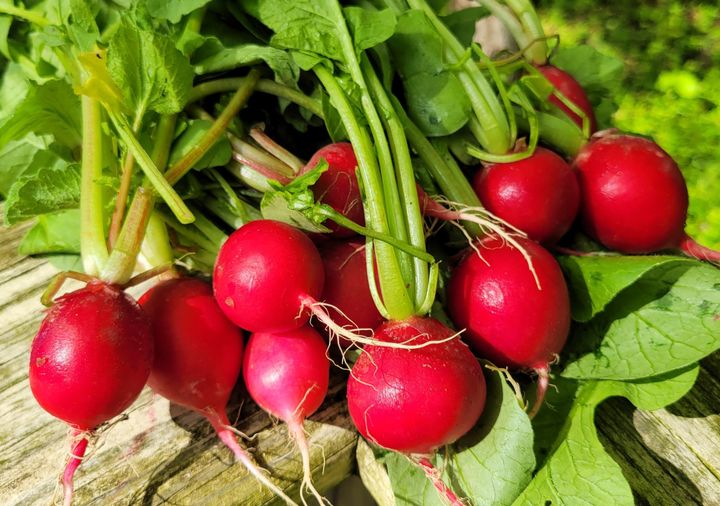 On My Plate: Radishes