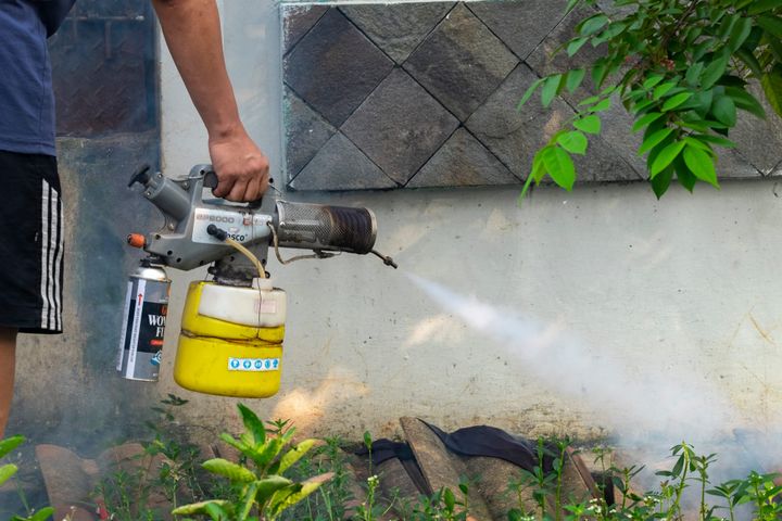 Wild Ones 101: Mosquito fogging: an effective way to kill butterflies, lightning bugs and other pollinators in your yard
