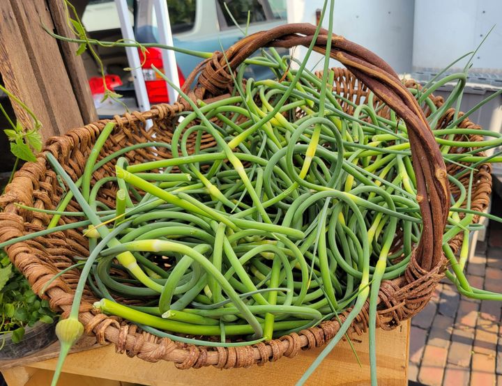 On My Plate: Scapes