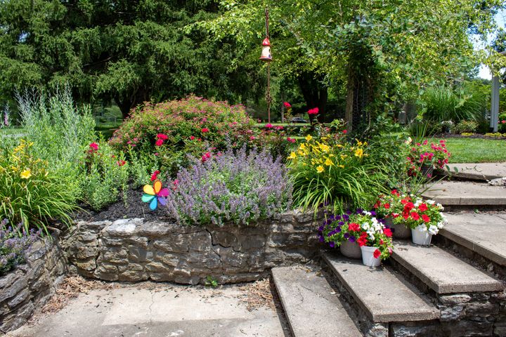 Locals stop and smell the roses thanks to biennial Oxford Garden Tour
