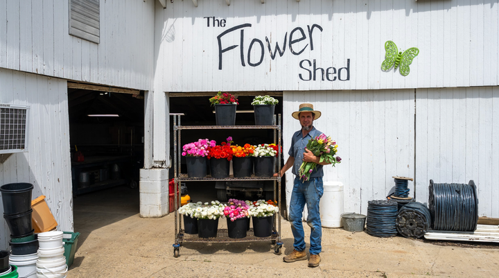 From seed to market: The Brubakers’ bouquets keep Oxford blooming