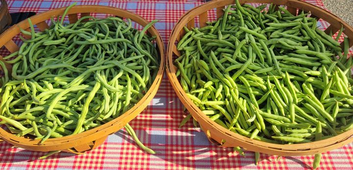 On My Plate: Green beans