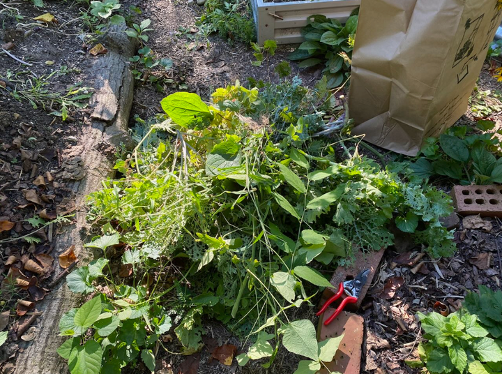 Wild Ones 101: In defense of weeding