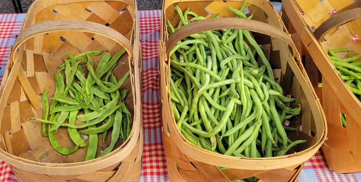 On My Plate: Romano (Italian) beans