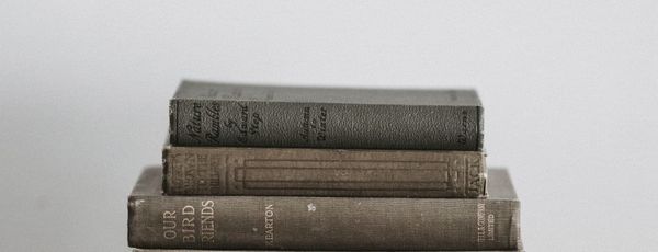 Language: The Heartbeat of Cultures & the World