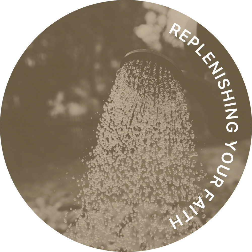 The Gifts You Have Been Given - Skill Set 1