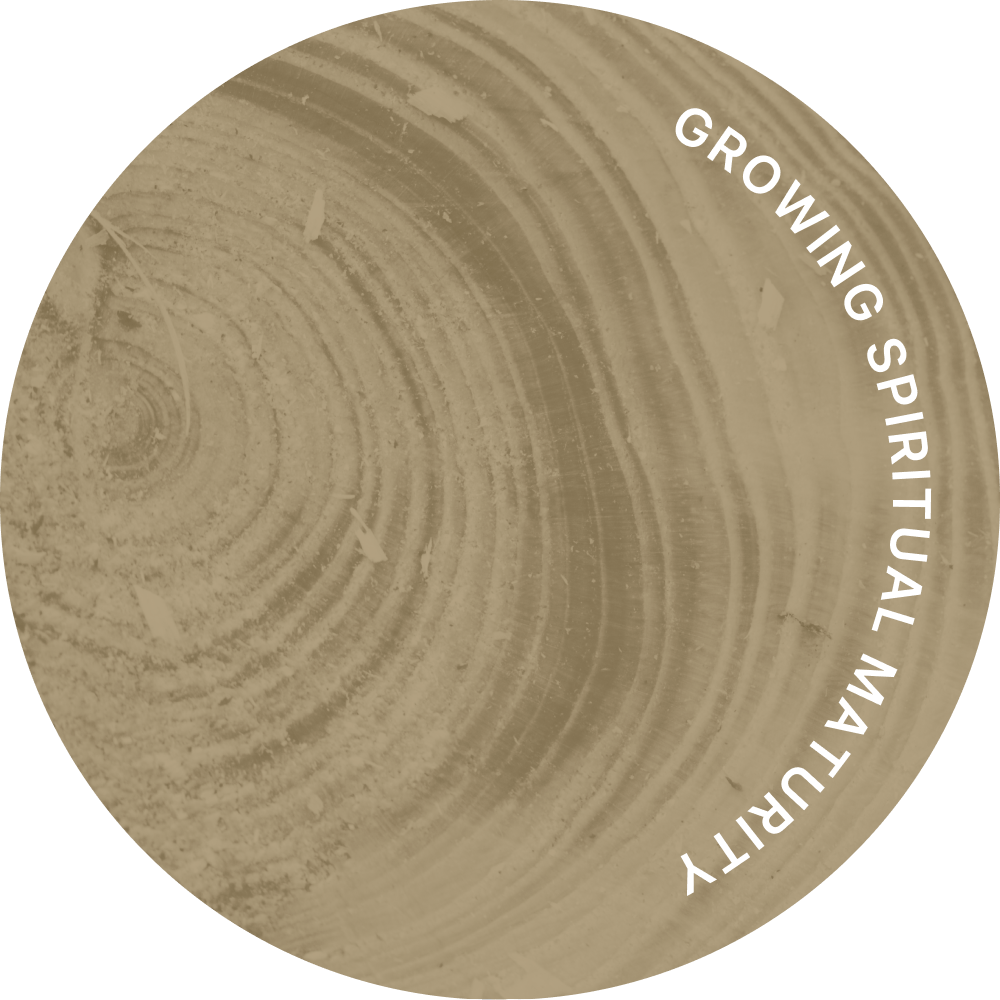 The Principles of Spiritual Maturity - Skill Set 11