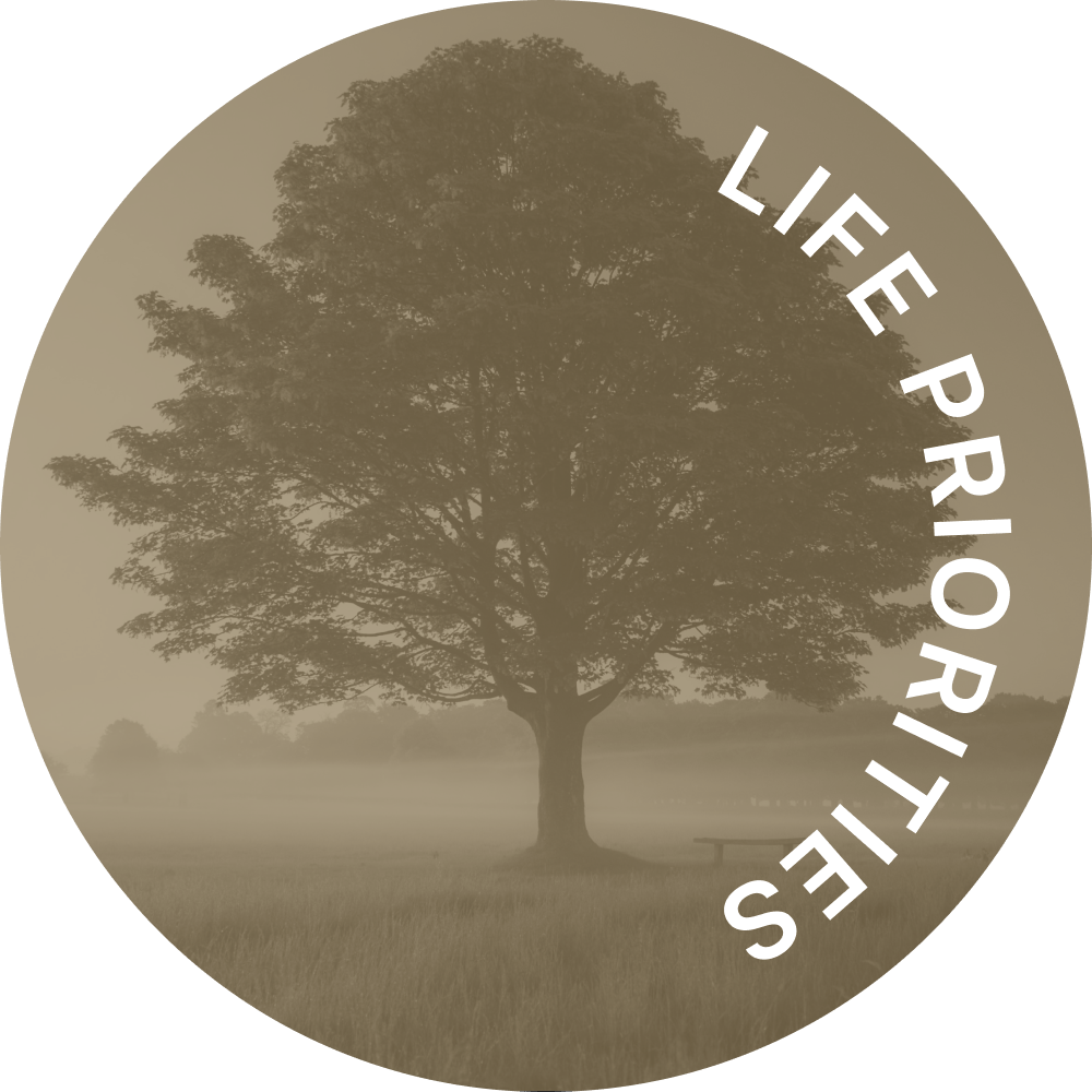 The Priorities of Your Life - Skill Set 5