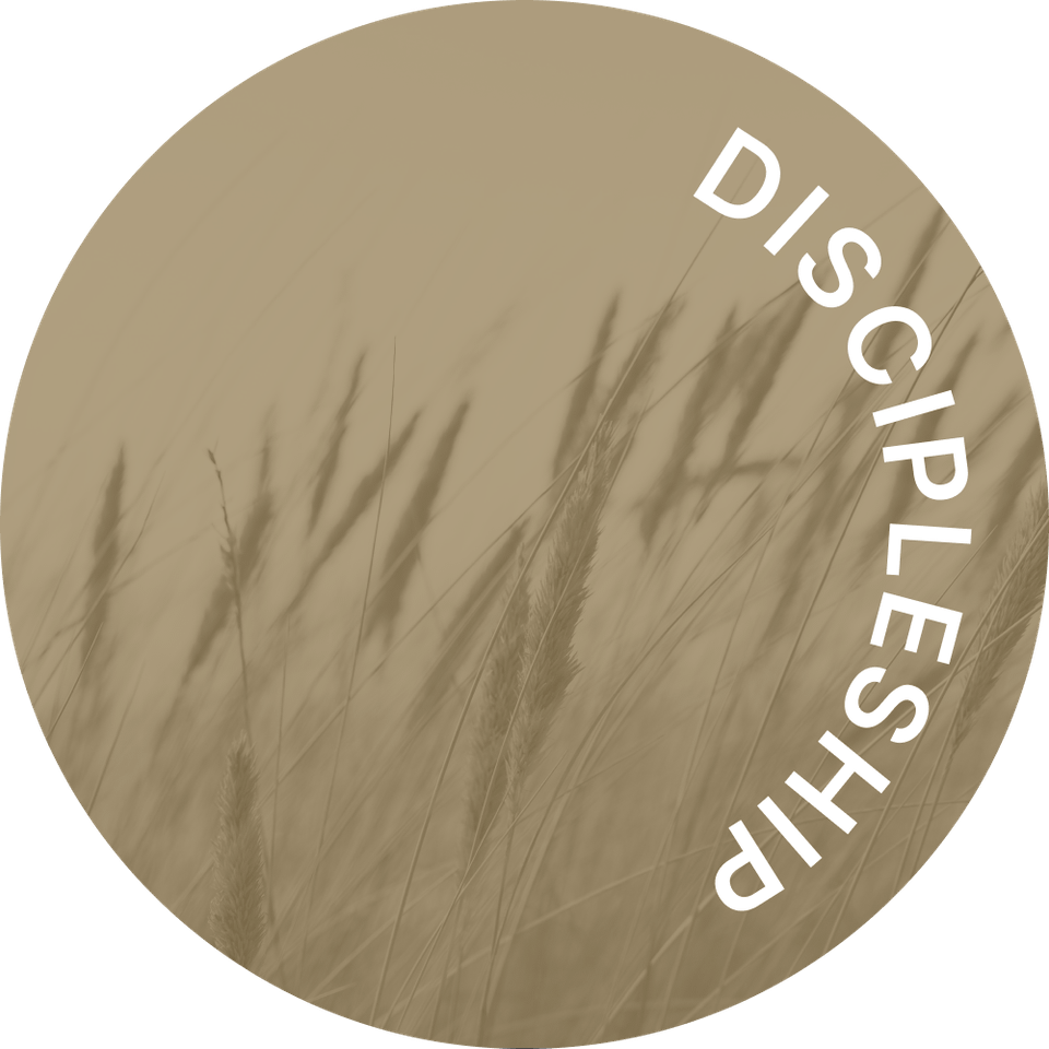 The Elements of a Disciple-Making Ministry - Skill Set 4