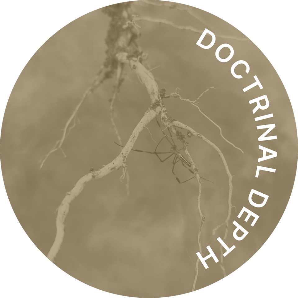 The Doctrines of Our Faith - Skill Set 6