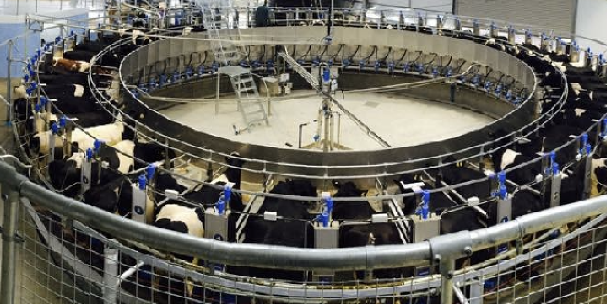 Regulatory Information