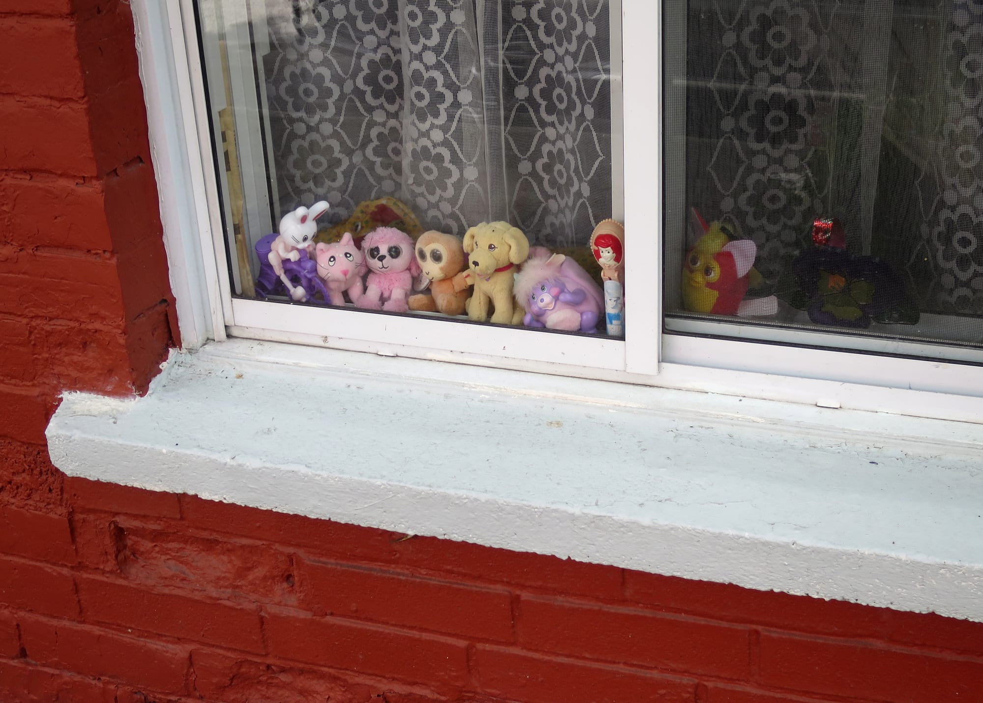 Exterior view of windowsill that is filled with stuffed animals and figurines looking out.