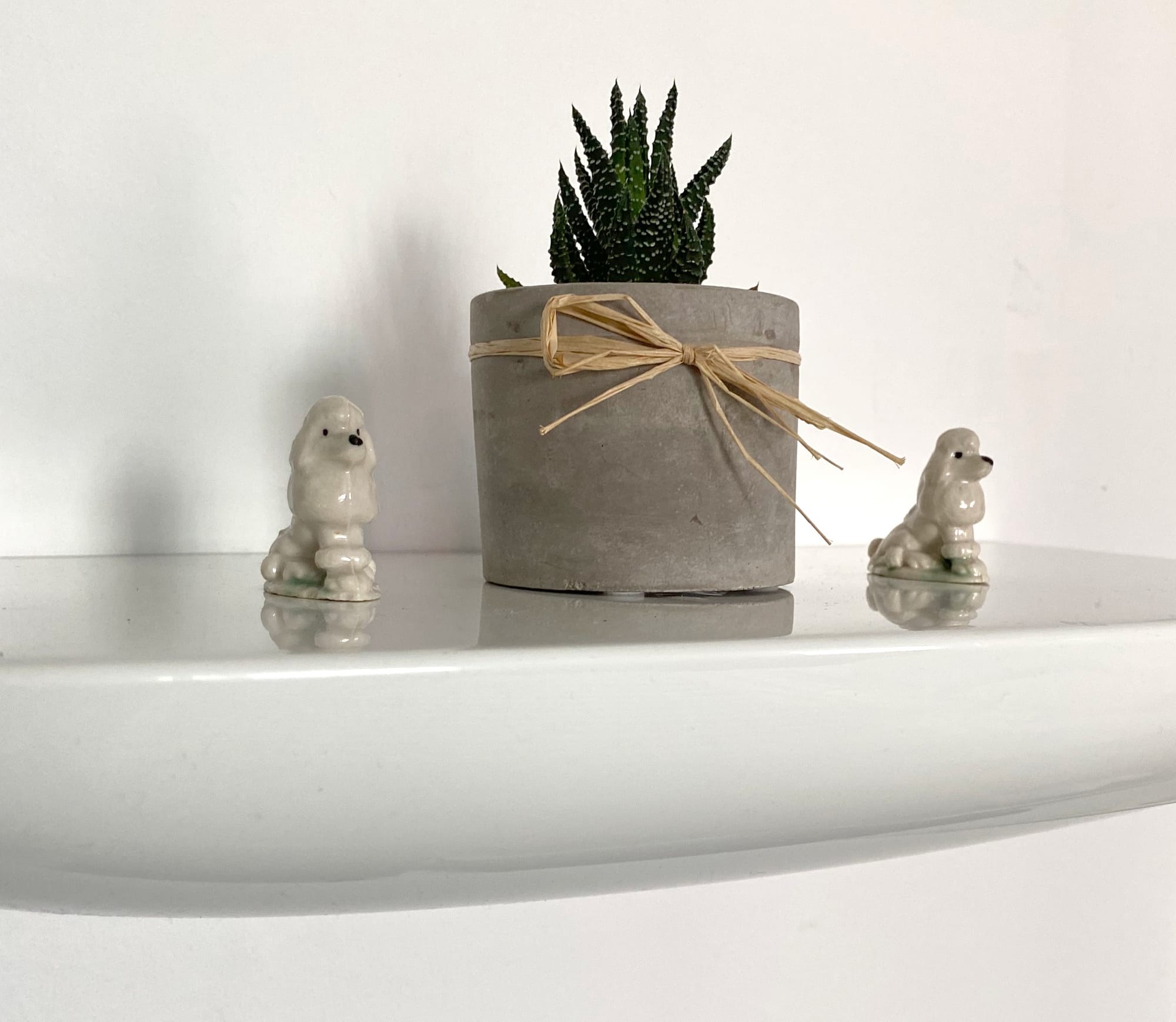 Potted succulent with a ceramic poodle on each side.