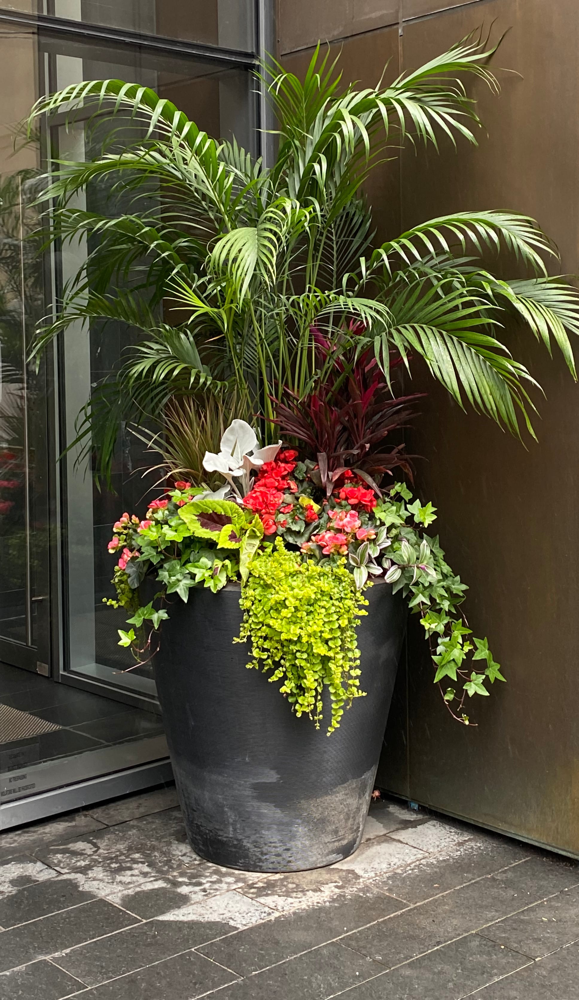Large planter with greenery cascading over its rim.
