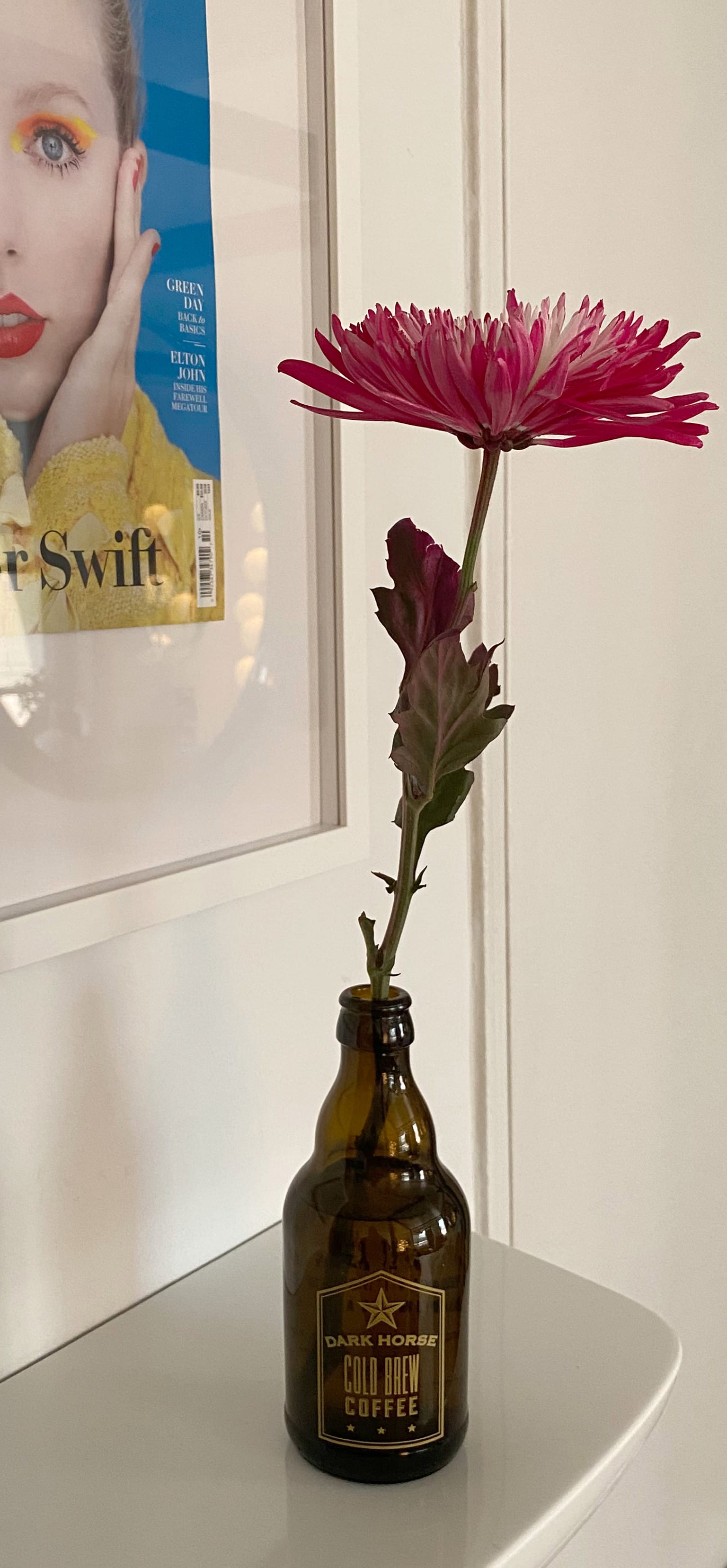 The same image as the first but showing the entire flower, which is held in a brown bottle.