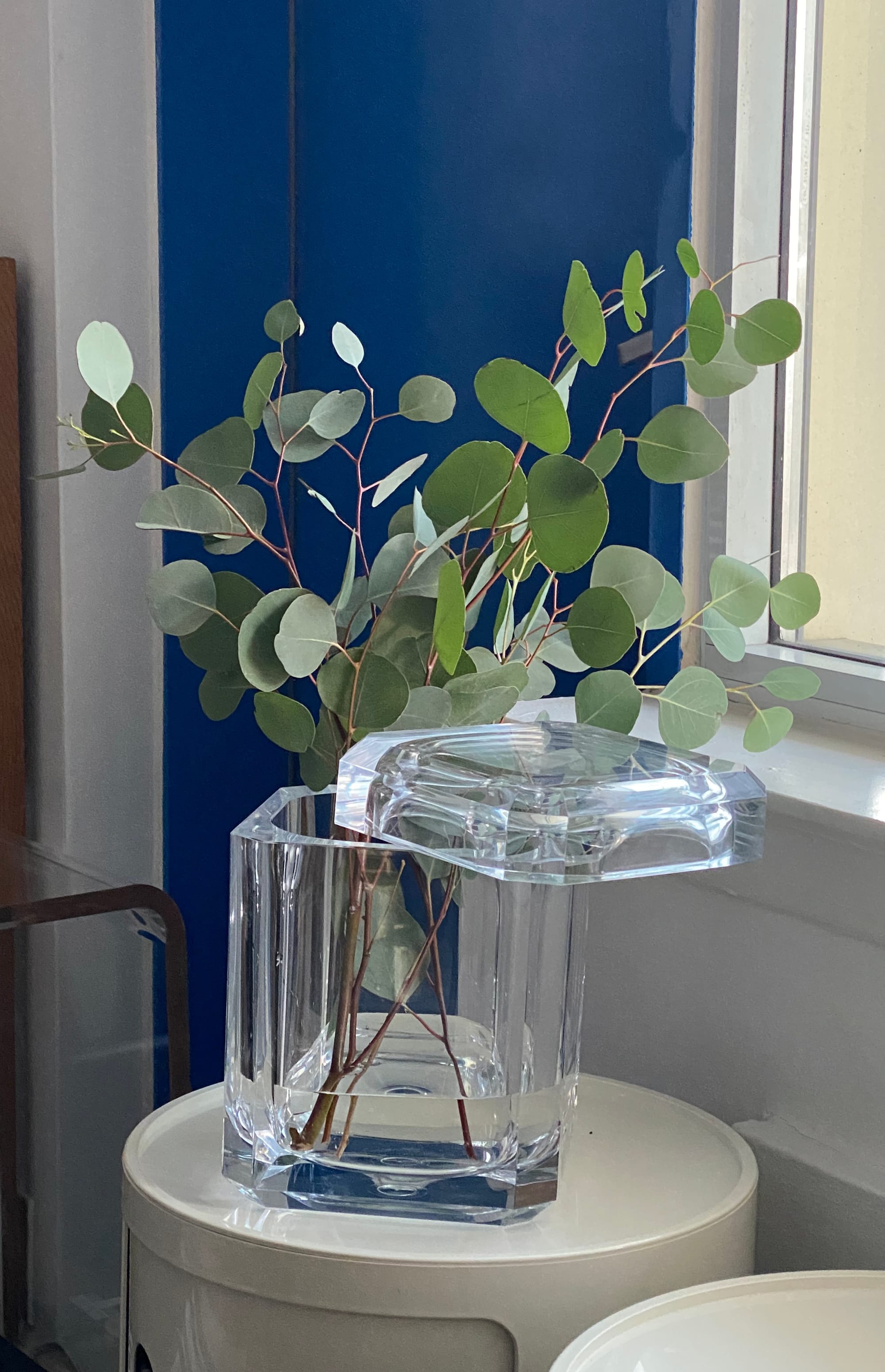 Eucalyptus branches held in a Lucite ice bucket.