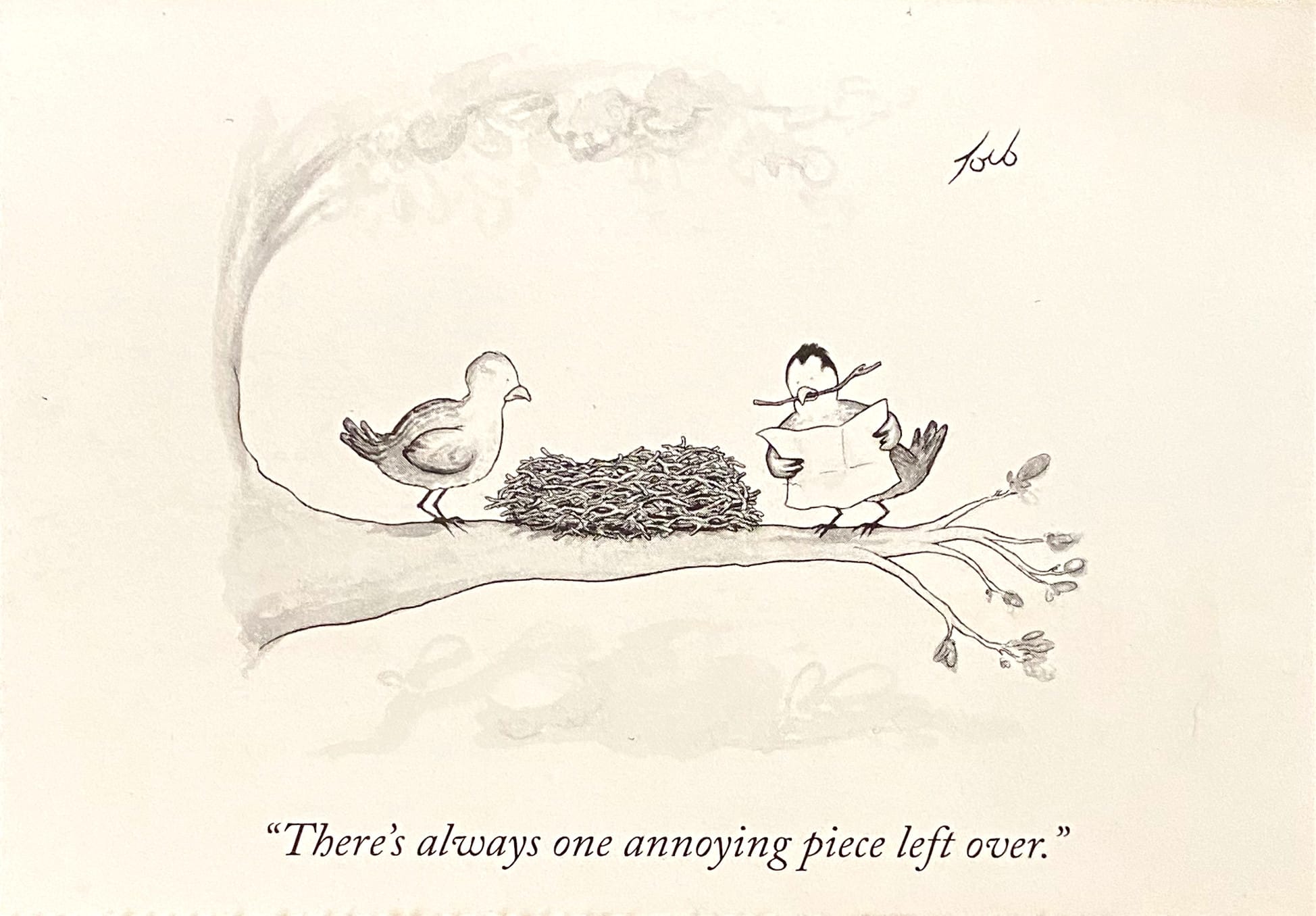 Two birds, one on each side of a nest. The one on the right is holding a twig in its mouth, consulting instructions and saying: "There's always one annoying piece left over."