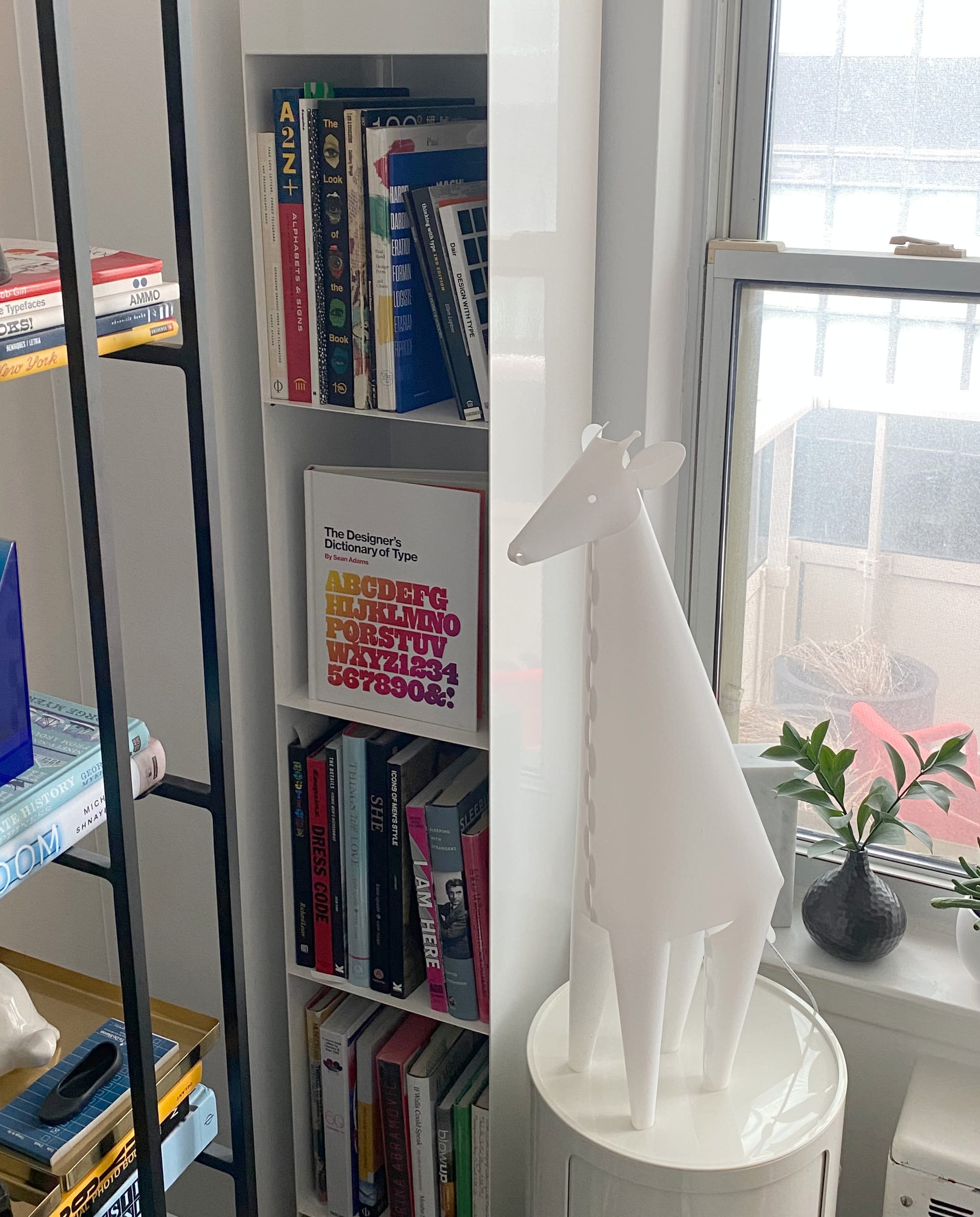 A narrow bookcase with one shelf devoted to a single face-out book, The Designer's Dictionary of Type.