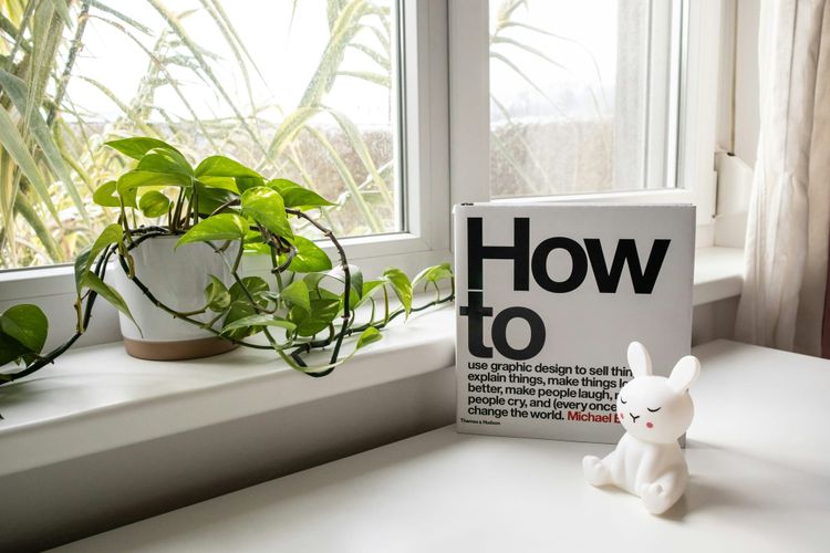 Arrangement by a windowsill with a plant, a cartoon bunny figurine, and a large coffee table book called "How to".