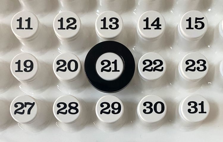 Close up of Ring-A-Date calendar with ring around the number 21.