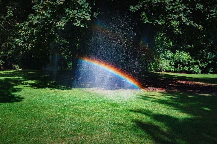 Green lawn with sprinkler mist creating a small rainbow.