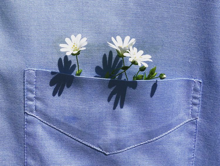 Close-up of a shirt pocket with little flowers peeking out of it.
