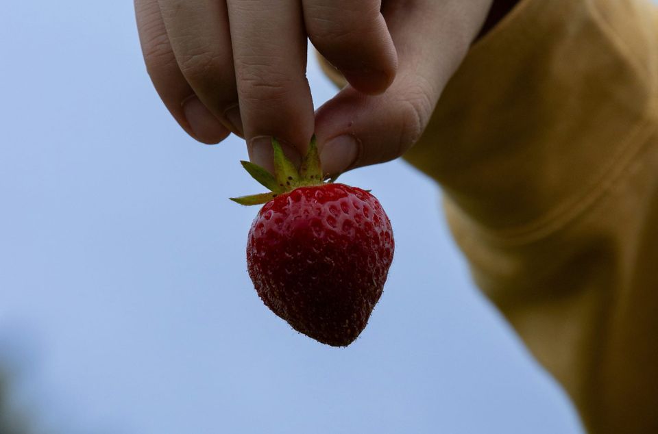 Lift: micro-decorating move #24