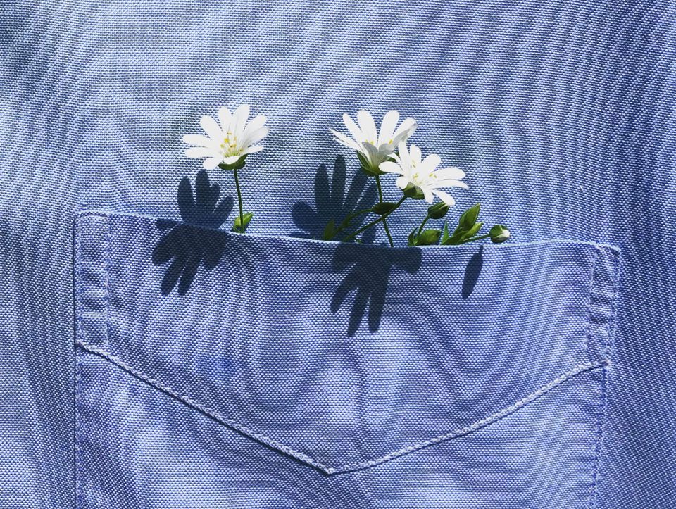 Close-up of a shirt pocket with little flowers peeking out of it.