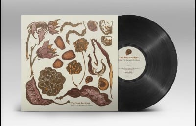 Vinyl record with sleeve illustrated with botanical drawings of dried flowers, shells, and stones for "The Sexy Accident, Before We Invented the Moon.