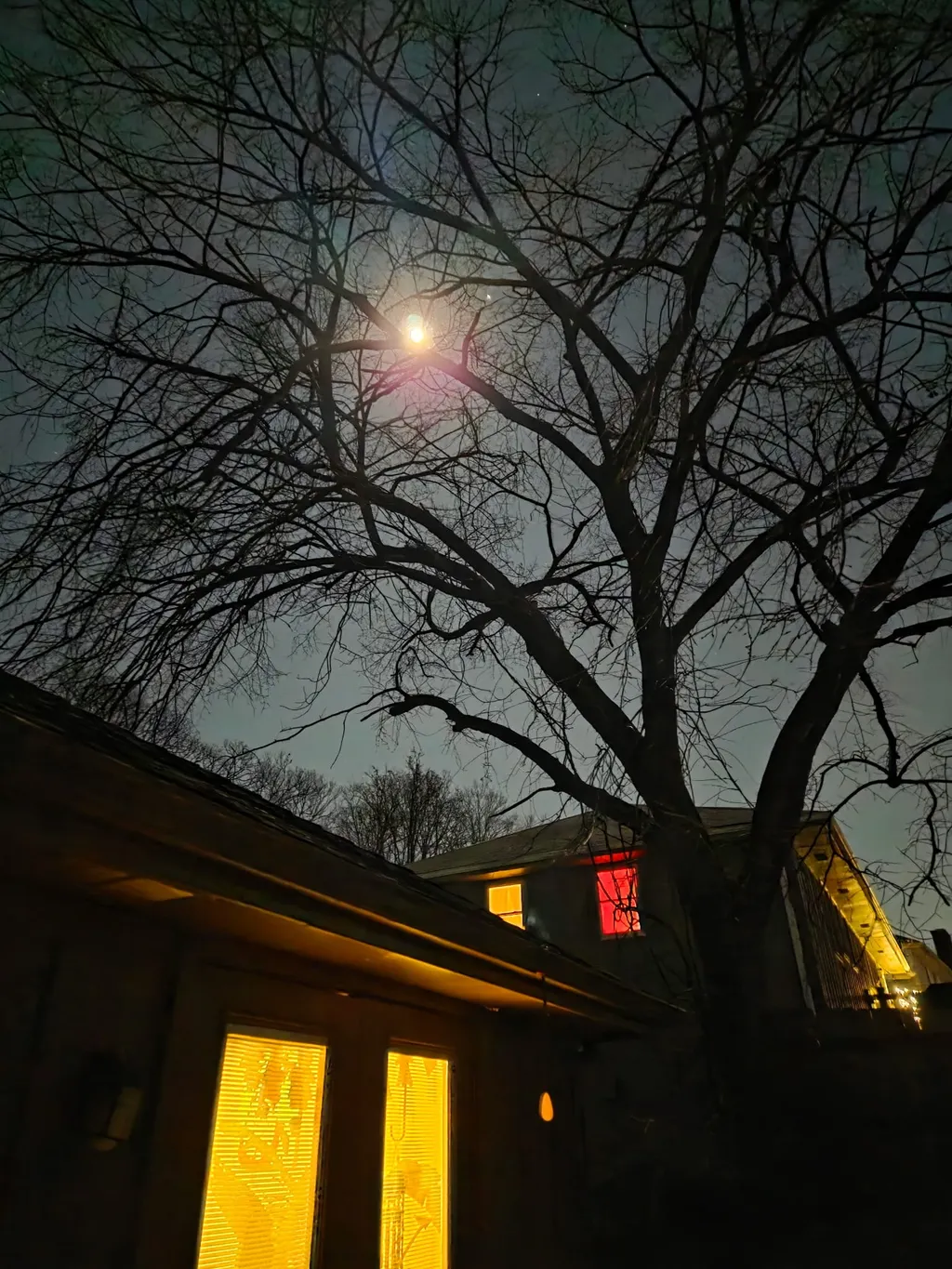 A large leafless tree silhouetted against a night sky with a bright moon. Two houses have warmly lit windows, one glowing yellow and the other red.