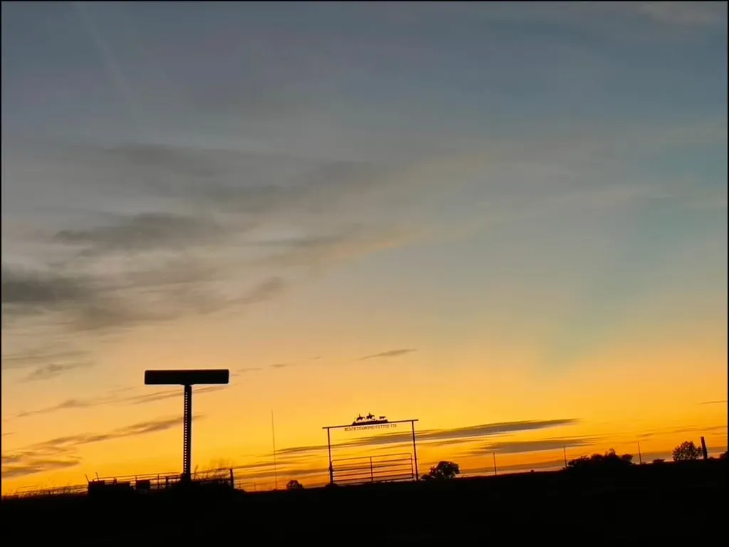 Silhouetted ranch entrance gate reading "Black Diamond Cattle Co." beneath a horse-and-cattle sign, set against a glowing orange and blue sunset sky.